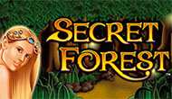 Игровой автомат Secret Forest